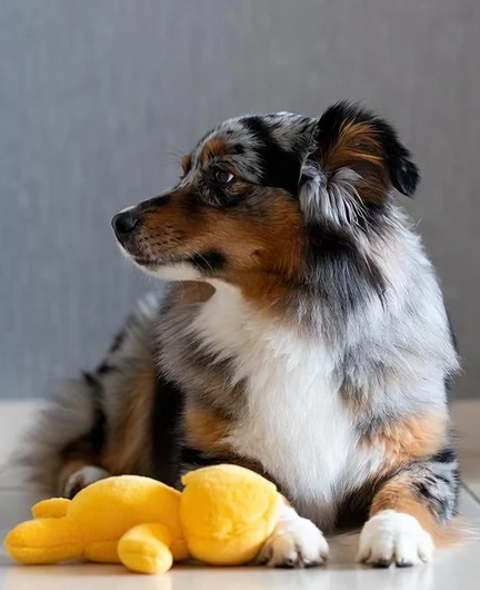 1c118fe2-96cc-4e10-adb0-3e544063e477-img_9579.jpg